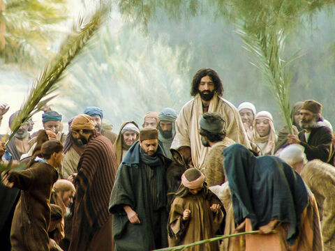 यीशु एक गधे पर विजयी रूप से यरूशलेम में सवारी करता है। (मत्ती 21:1-11, मरकुस 11:1-11, लूका 19:28-44, यूहन्ना 12:12-17) – Slide número 8