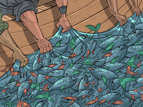 जब मछुआरे यीशु की बात मानते हैं और नाव के दूसरी ओर अपना जाल डालते हैं तो वे बहुत सारी मछलियाँ पकड़ लेते हैं।<br/>लूका 5:1-11 – Slide número 3