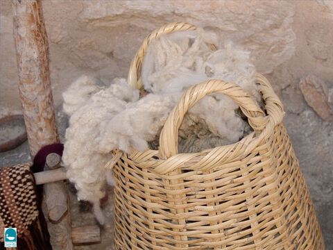 ऊन बनाने के लिए भेड़ों से ऊन इकट्ठा किया जाता था। – Slide número 6