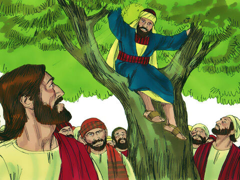जब यीशु पेड़ के पास गया, तो उसने ऊपर देखा और कहा, 'ज़क्कई, जल्दी नीचे उतरो। आज मैं तुम्हारे घर में आऊंगा।' – Slide número 5